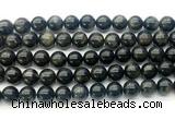 CAE323 15.5 inches 10mm round astrophyllite gemstone beads