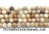 CSS852 15.5 inches 10mm round sunstone beads wholesale