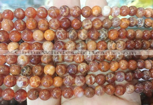 AGBS308 15 inches 6mm round red dragon veins agate beads wholesale