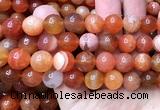 AGBS65 15 inches 14mm round orange botswana agate beads