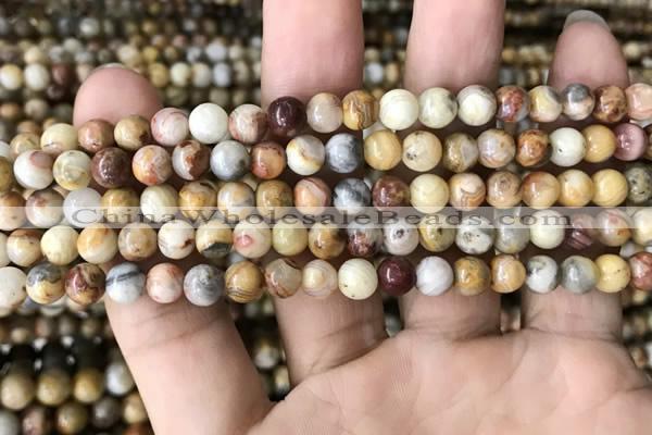 CAA2349 15.5 inches 6mm round crazy lace agate beads wholesale