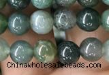 CAA2357 15.5 inches 6mm round moss agate beads wholesale