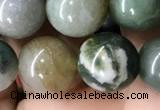 CAA2366 15.5 inches 10mm round Indian agate beads wholesale