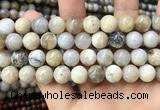 CAA3585 15.5 inches 12mm round ocean fossil agate beads wholesale