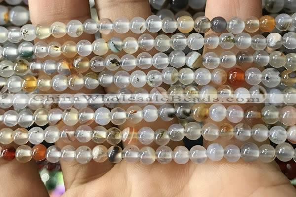 CAA3596 15.5 inches 4mm round dendritic agate beads wholesale
