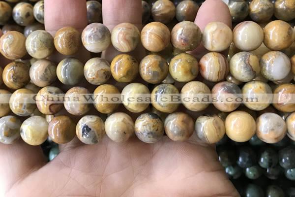 CAA3604 15.5 inches 10mm round yellow crazy lace agate beads