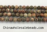 CAA3702 15.5 inches 12mm round rainforest agate beads wholesale