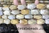 CAA3712 15*22mm - 16*25mm faceted nuggets chrysanthemum agate beads