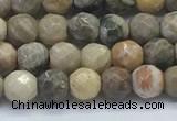 CAA3960 15.5 inches 4mm faceted round chrysanthemum agate beads