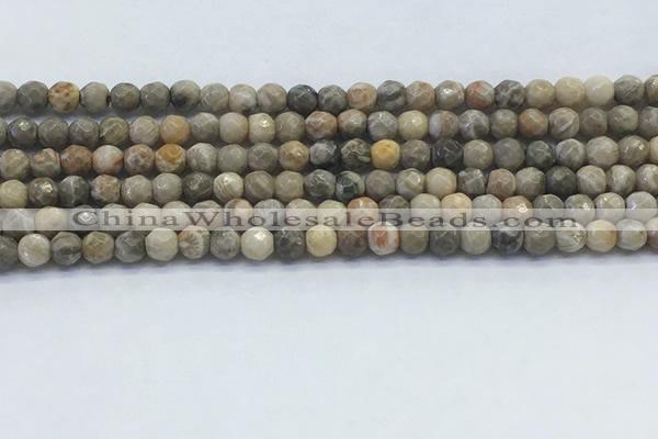 CAA3960 15.5 inches 4mm faceted round chrysanthemum agate beads