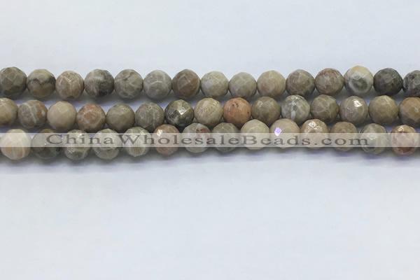 CAA3962 15.5 inches 8mm faceted round chrysanthemum agate beads