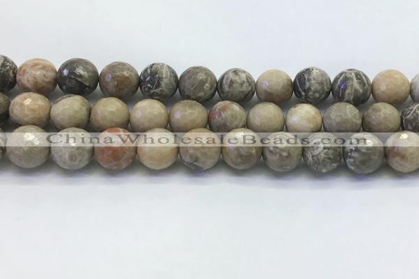 CAA3965 15.5 inches 14mm faceted round chrysanthemum agate beads