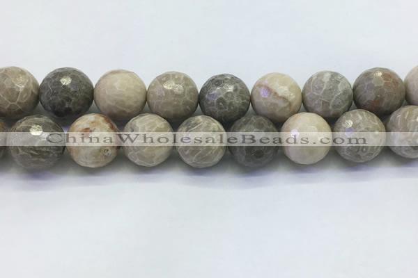 CAA3968 15.5 inches 20mm faceted round chrysanthemum agate beads