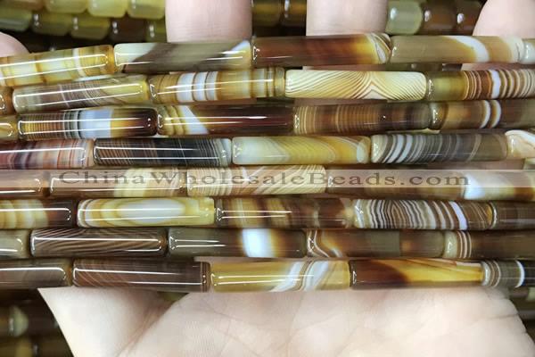 CAA4177 15.5 inches 5*24mm tube line agate beads wholesale