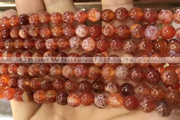 CAA5071 15.5 inches 6mm round red dragon veins agate beads