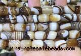 CAA5107 15.5 inches 10*14mm drum striped agate beads wholesale
