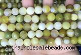 CAA5159 15.5 inches 10mm faceted round banded agate beads