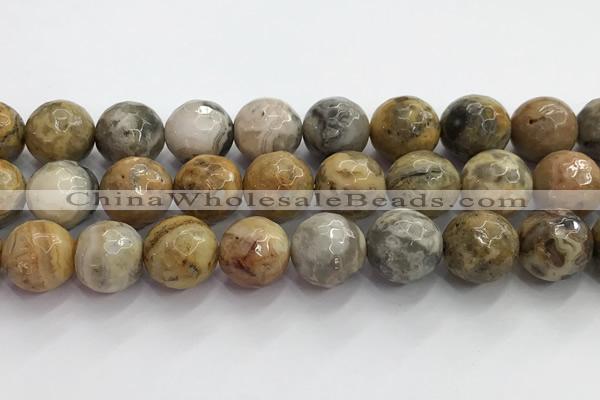 CAA5294 15.5 inches 12mm faceted round crazy lace agate beads wholesale