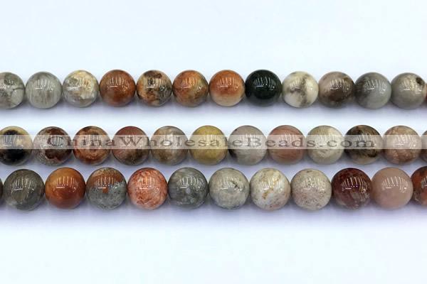 CAA5812 15 inches 10mm round chrysanthemum agate beads