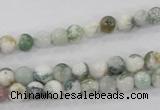 CAA700 15.5 inches 6mm round tree agate gemstone beads wholesale