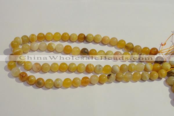 CAA87 15.5 inches 6mm round botswana agate gemstone beads