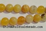 CAA90 15.5 inches 12mm round botswana agate gemstone beads