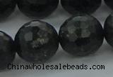 CAE41 15.5 inches 18mm faceted round astrophyllite beads wholesale