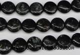 CAE44 15.5 inches 10mm flat round astrophyllite beads wholesale