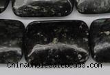 CAE95 15.5 inches 22*30mm rectangle astrophyllite beads wholesale