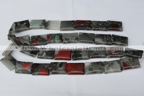 CAF02 15.5 inches 18*25mm rectangle African bloodstone beads