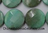 CAG1615 15.5 inches 25mm faceted coin green grass agate beads