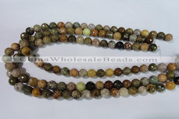 CAG1713 15.5 inches 10mm faceted round rainbow agate beads