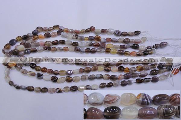 CAG2770 15.5 inches 6*8mm nuggets botswana agate beads wholesale