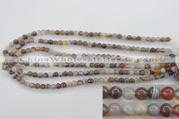 CAG3681 15.5 inches 6mm round botswana agate beads wholesale