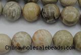 CAG3885 15.5 inches 14mm round chrysanthemum agate beads