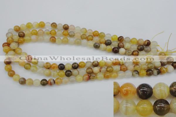 CAG4322 15.5 inches 8mm round botswana agate gemstone beads