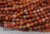 CAG618 15.5 inches 4mm faceted round natural fire agate beads