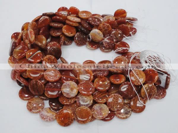 CAG631 15.5 inches 14mm coin natural fire agate beads wholesale