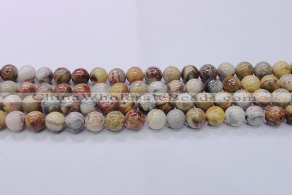 CAG6673 15.5 inches 10mm round natural crazy lace agate beads