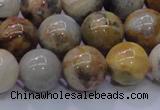 CAG6674 15.5 inches 12mm round natural crazy lace agate beads