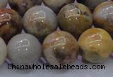 CAG6675 15.5 inches 14mm round natural crazy lace agate beads