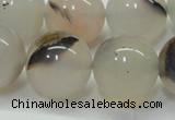 CAG6764 15 inches 14mm round Montana agate beads wholesale