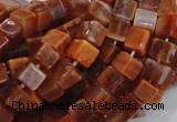 CAG686 15.5 inches 6*6mm cube natural fire agate beads wholesale