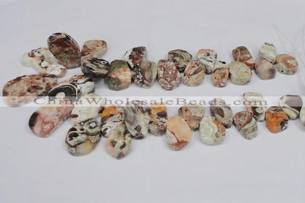 CAG7051 Top drilled 15*20mm - 25*35mm freeform ocean agate beads
