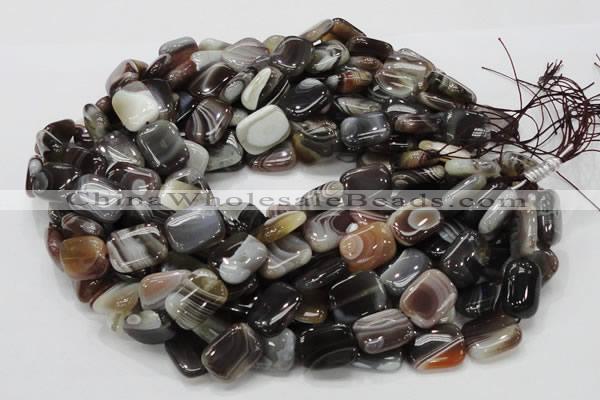 CAG739 15.5 inches 14*18mm rectangle botswana agate beads wholesale