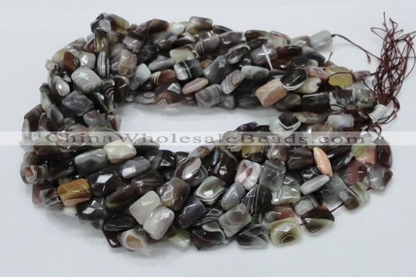 CAG759 15.5 inches 10*14mm faceted rectangle botswana agate beads