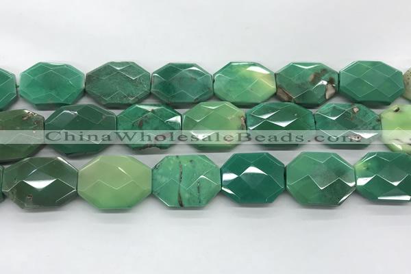 CAG7929 15.5 inches 22*30mm - 25*25mm faceted octagonal grass agate beads