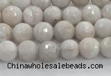 CAG8516 15.5 inches 10mm faceted round grey agate beads wholesale