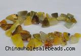 CAG8543 Top drilled 15*20mm - 25*30mm freeform dragon veins agate beads