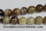 CAG938 16 inches 10mm round madagascar agate gemstone beads